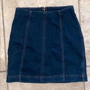 Free People Pencil Skirt